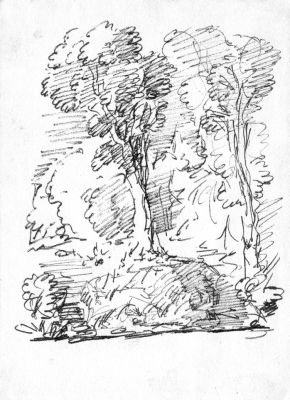Drawing_77_5BTrees5D_Ink___Undated___7x5___Direct

