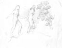 Drawing_87_5BFemale_Nudes5D___Undated___8x11___Direct.jpg