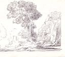 Drawing_98_Ink_5BTree5D___Undated___5x5_5___Direct.jpg