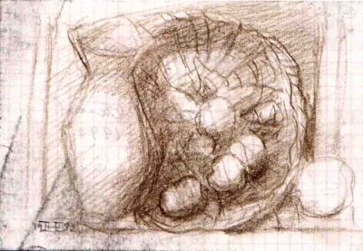 Still_Life_Sketch_Pencil_1990
