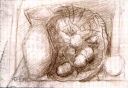 Still_Life_Sketch_Pencil_1990.jpg