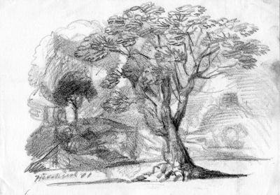 Drawing_71_5BTree5D___1991___7x10___Direct
