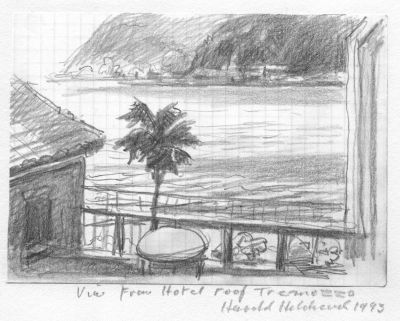 Drawing_119_View_From_Hotel_Roof_Tremezzo__1993___4x5_5__
