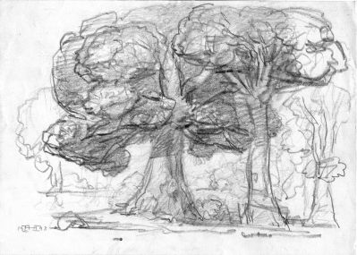 Drawing_57_Tree_Study__1993___8x11___Direct
