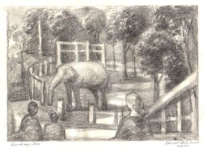 Drawing_98_5B_Stuart_s5D__San_Diego_Zoo____2000___6x8___Direct
