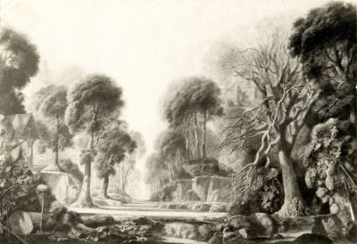 Unknown_202_5BTree_Avenue5D__1971
